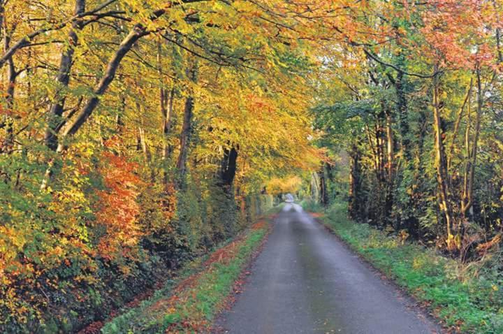Greenway Guesthouse Mullingar Buitenkant foto