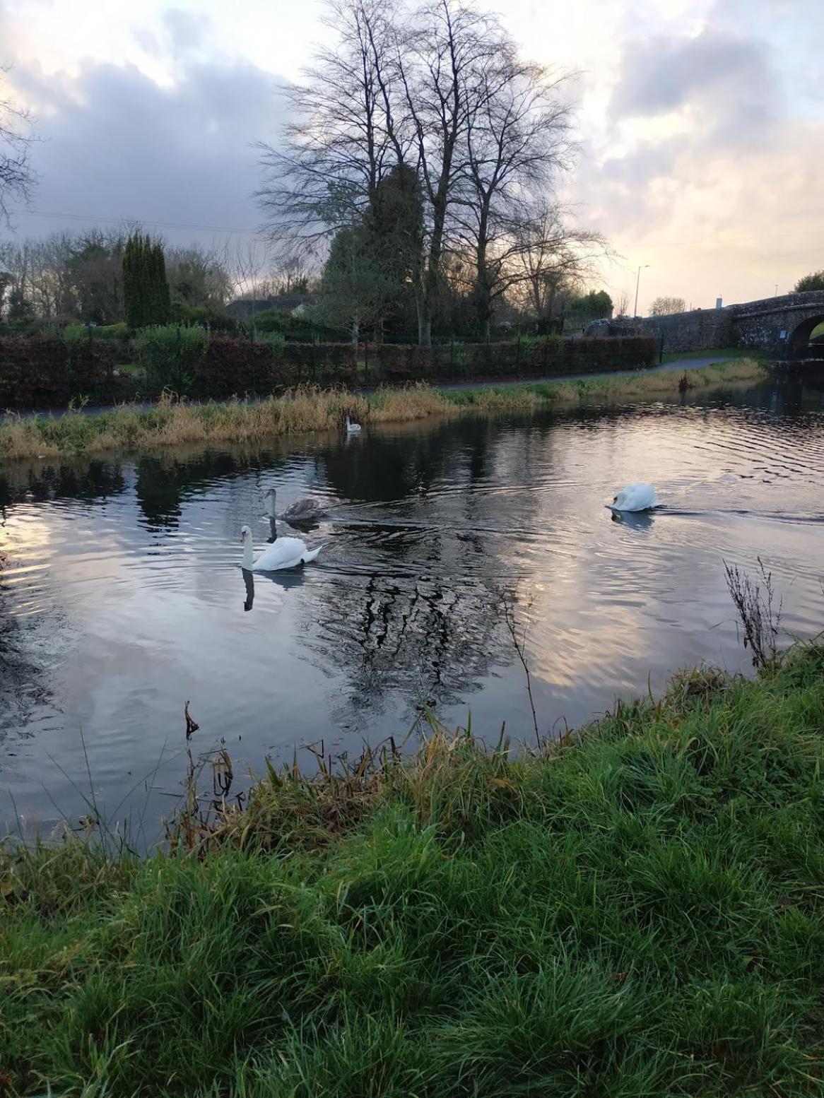 Greenway Guesthouse Mullingar Buitenkant foto